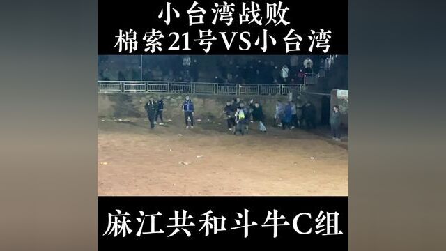 棉索27号大碰牛架架大碰,战胜了小台湾牛王 #乡村斗牛 #斗牛视频 #牛气冲天