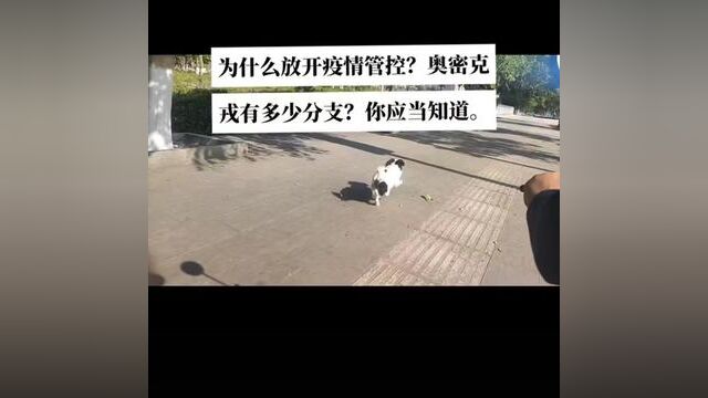 新闻评论 #新闻现场