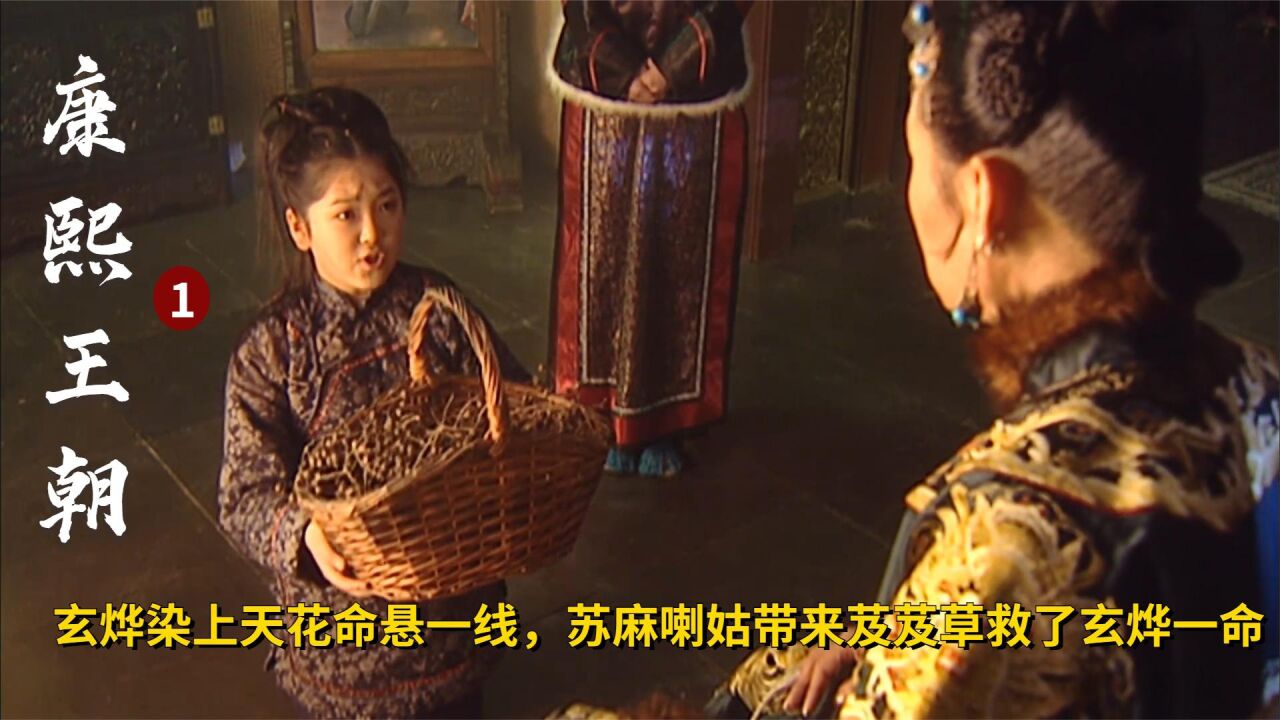玄烨染上天花命悬一线,苏麻喇姑带来芨芨草,救玄烨一命!历史剧_高清1080P在线观看平台_腾讯视频