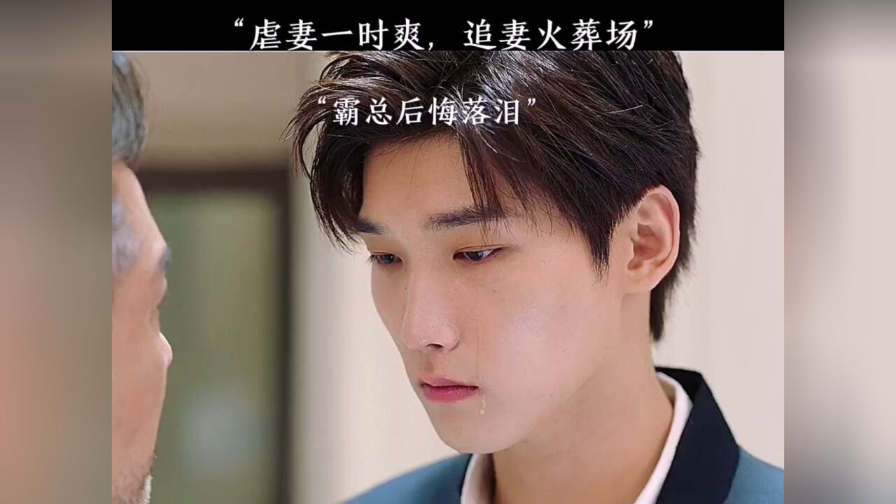 虐妻一时爽,追妻火葬场