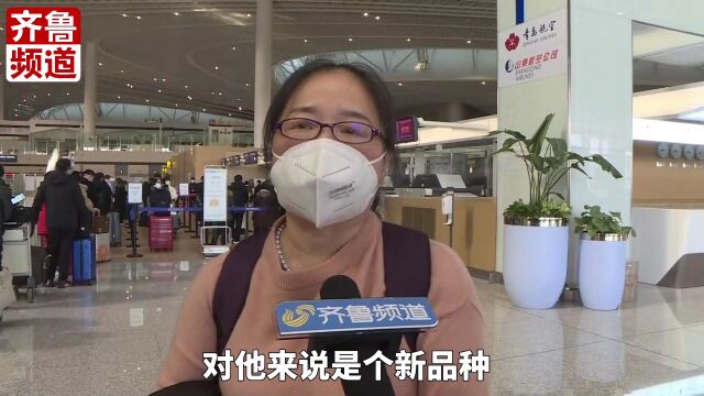 寻商机 拓市场!山东各地各企业出国“抢”订单 成果斐然