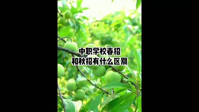 #中职 #春招 #秋招 #单招 中职学校春招和秋招有什么区别