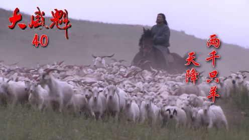 小伙赚了1200只羊，不料等赶回家，竟变成了1800只