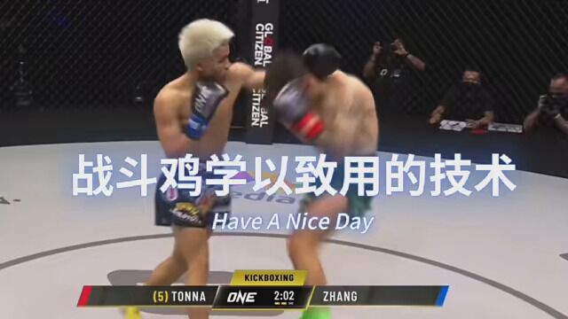 战斗鸡的成名技,我的教学招牌技.击腹拳!!!