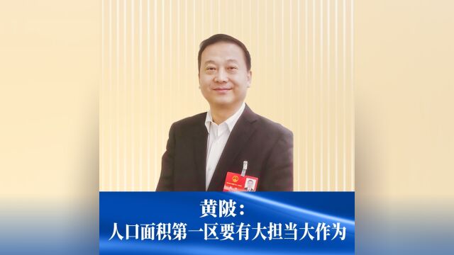 黄陂:人口面积第一区要有大担当大作为