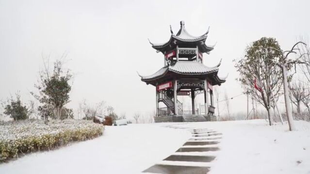 雪景霸屏!夏邑迎来2023年的第一场雪,但还有这些要注意...