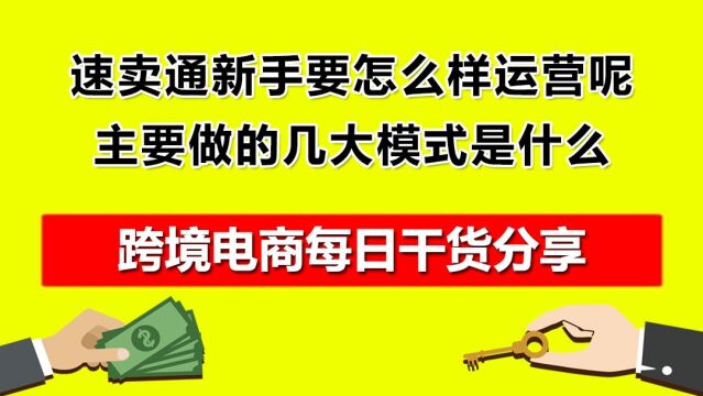 2.速卖通新手要怎么样运营呢?主要做的几大模式是什么?