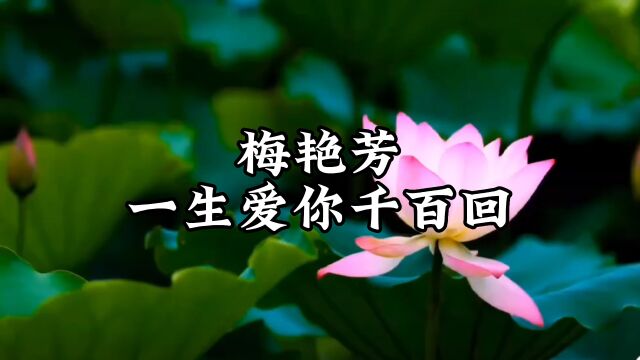 梅艳芳《一生爱你千百回》,日夜为你着迷时刻为你忧虑