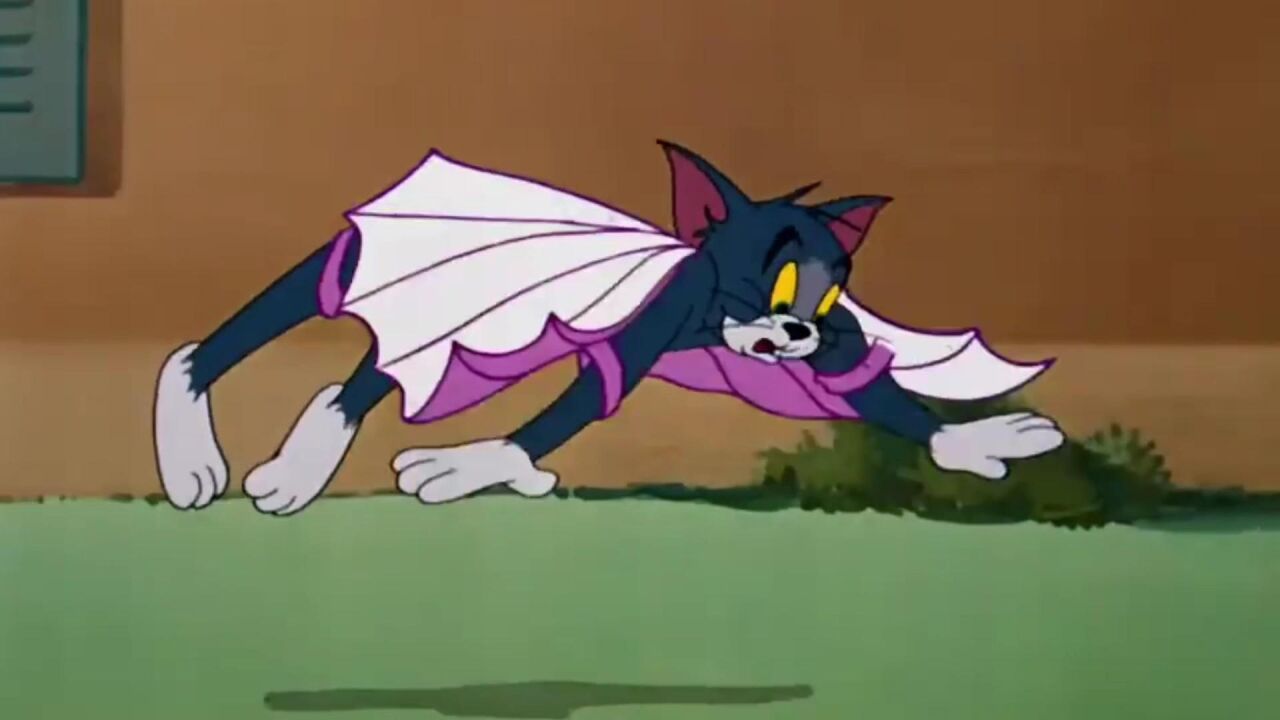 汤姆自制翅膀捉小鸟,杰瑞警告小鸟,小鸟却不相信它|猫和老鼠