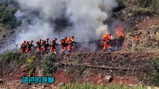 单位素材,请勿转发,谢谢.