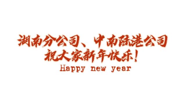 2023年湖南分公司、中南陆港公司拜年视频