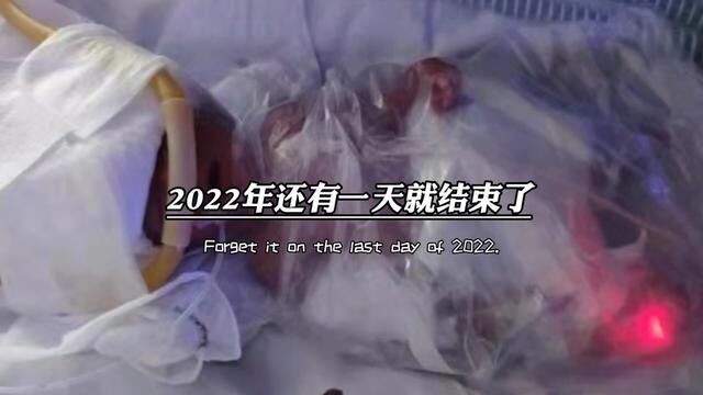 2022年还有一天就结束了,感恩一路上陪伴我的人,感恩一年里关心我的人,感恩生活里守护我的人,感恩生命里对我好的人