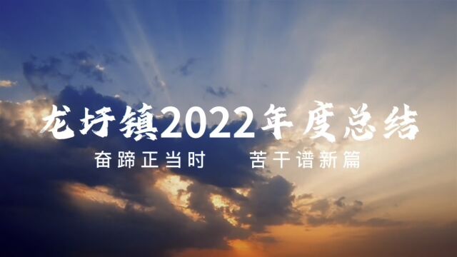 龙圩镇2022年度总结