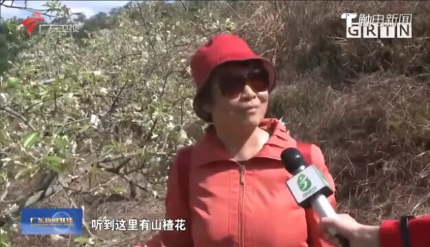 靓人靓景 | 肇庆各县(市)区迎新春游玩攻略