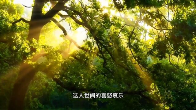 《藿香与佩兰》这是一首不一样的儿歌丨任瑞羾 词曲丨小铃铛 演唱丨用歌曲讲述中药小故事