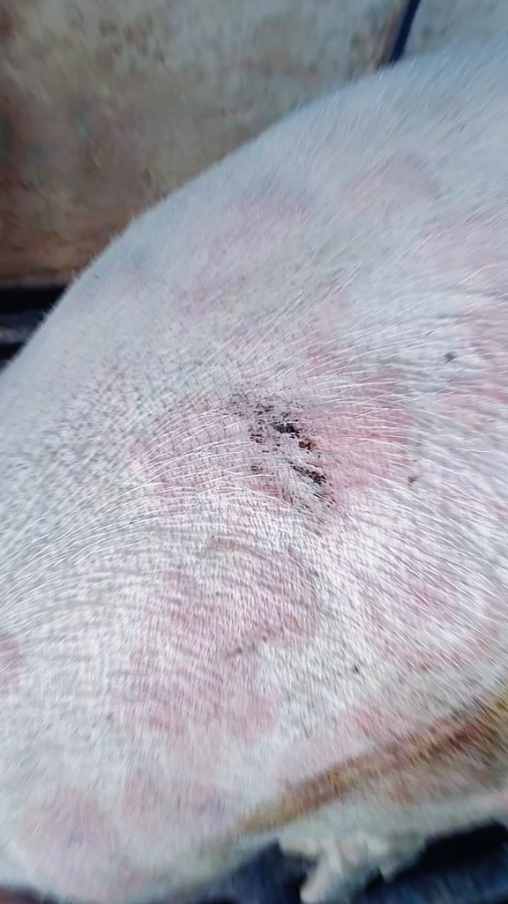 _高清1080P在线观看平台_腾讯视频