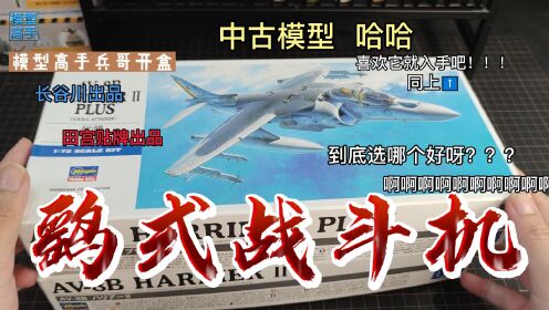 模型高手兵哥开盒曾经非常喜欢的长谷川和田宫的鹞式II战斗机模型_高清1080P在线观看平台_腾讯视频