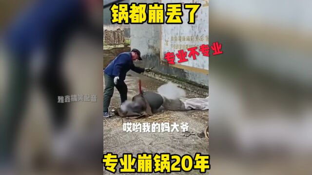 专业崩锅20年