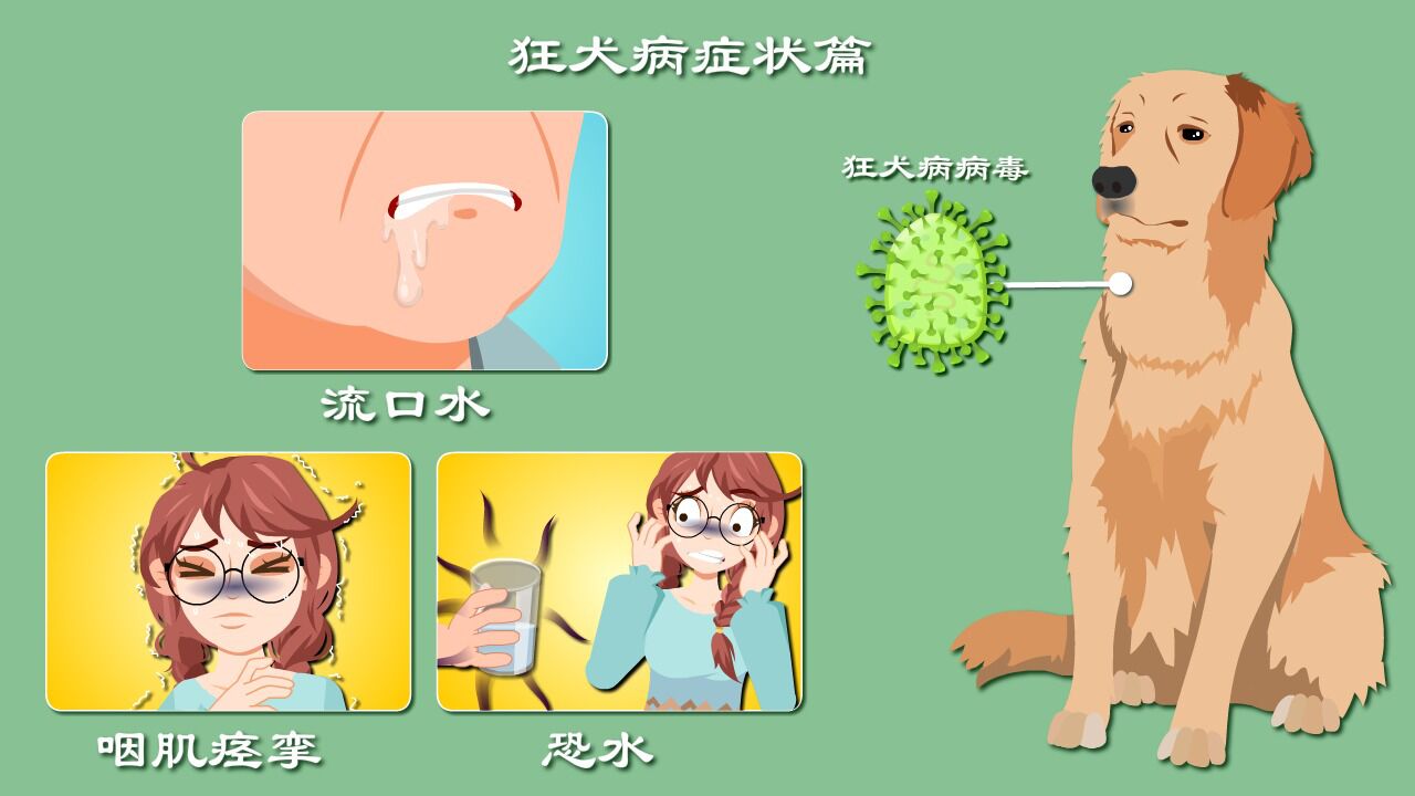 狂犬病毒卡通图片