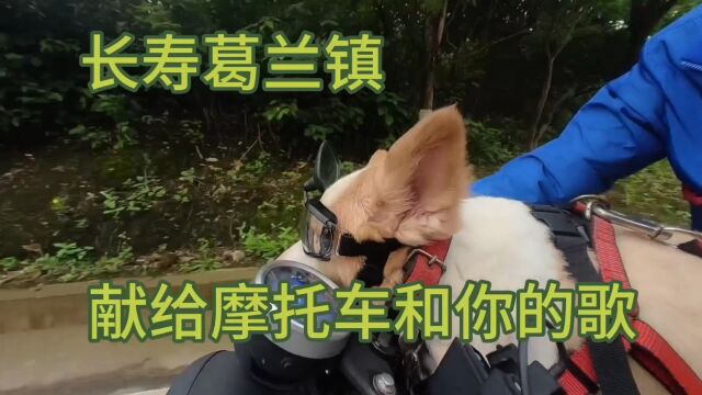 重庆长寿243国道葛兰镇,《献给摩托车和你的歌》.