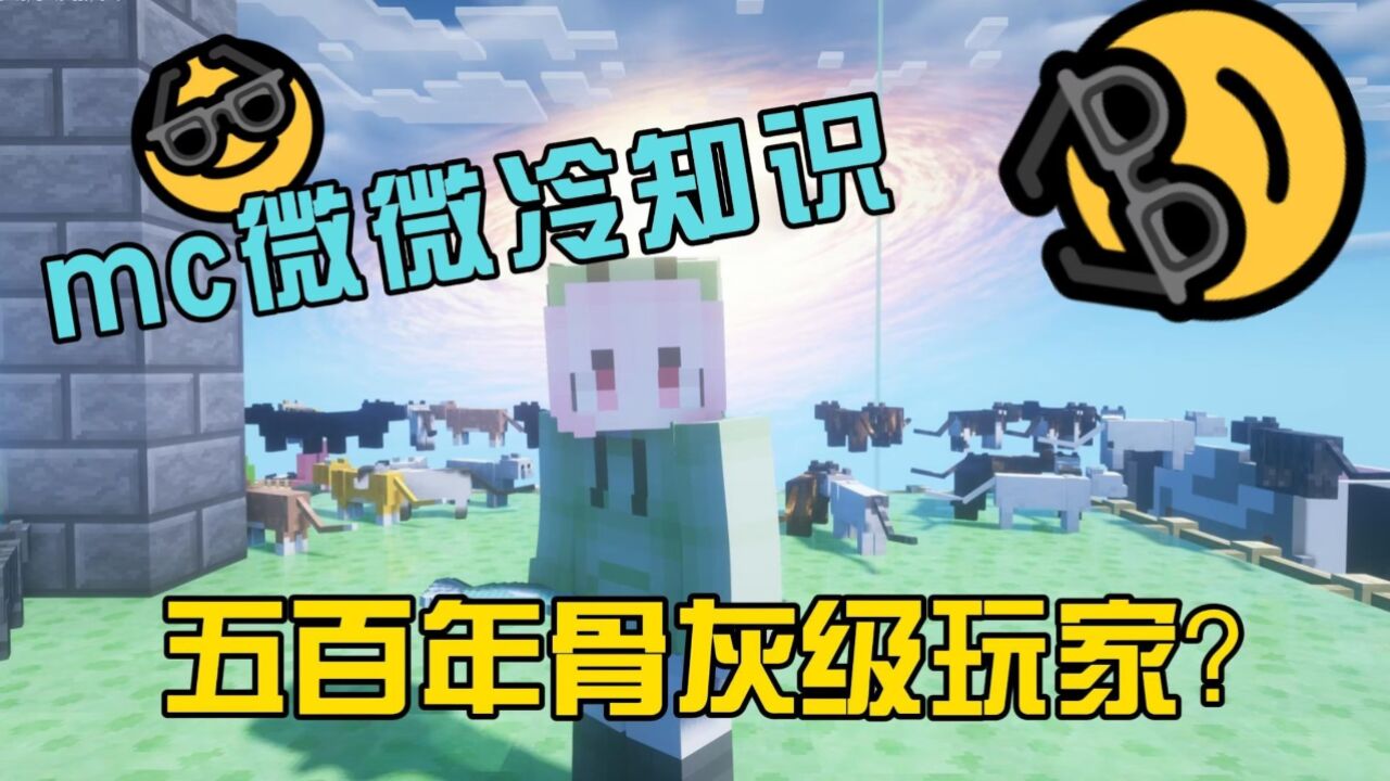 我的世界：mc五百年骨灰级玩家