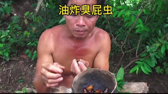 越南美食油炸臭屁虫!#动物世界 #解压