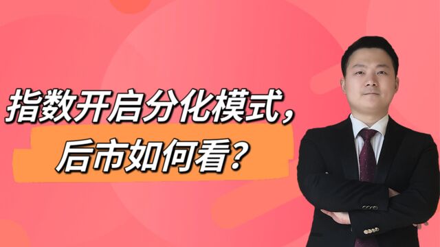 指数开启分化模式,后市如何看?