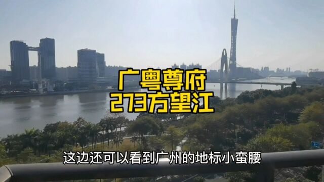 珠江新城豪宅广粤尊府273方大平层