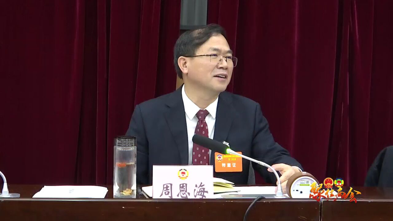 【聚焦两会】周恩海参加区政协五届二次会议第二小组讨论