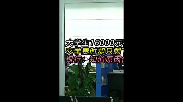 大学生16000元存银行交学费时却只剩下8毛工作人员:不能说社会百态纪录片存钱