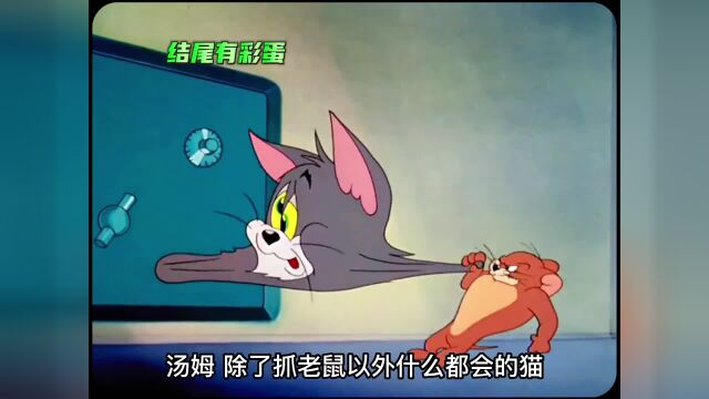 致敬猫王,观看前自备纸巾