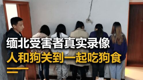 缅北诈骗集团真实录像，受害者被电击侵犯活埋，连自尽都是奢望_高清