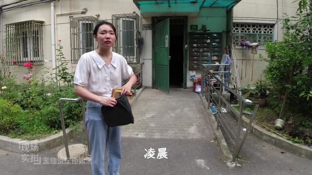 上海找猫:找猫怎么说呢我就看了那么一下不能再多了,就找到了!