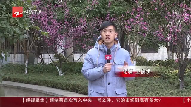 物业费涨了环境变差了?南岸花城业主:五年没打理!