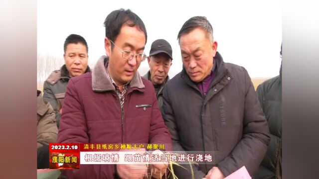 清丰县:组织120名农技人员深入田间地头 指导群众做好麦田管理