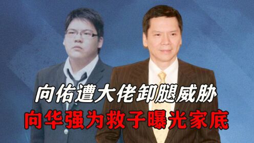 向佑为女人得罪大佬，遭卸腿威胁，向华强为救子暴露真实家底？