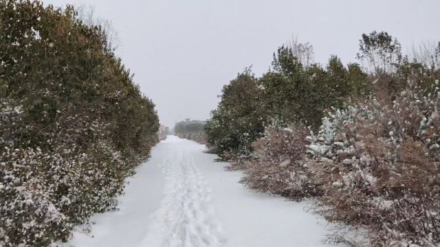 寒风萧萧兮易水寒风似刀