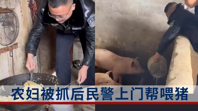 独居农妇被抓担忧家中的小猪娃,民警帮忙上门劈柴喂猪