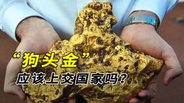 狗头金明明不是纯金,为啥价格比纯金还贵?捡到后要上交国家吗?