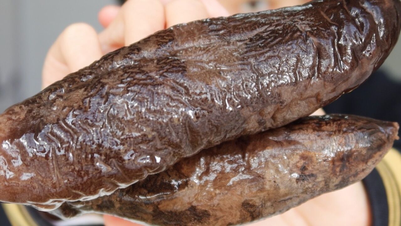 网红海茄子,嚼到下巴脱臼?