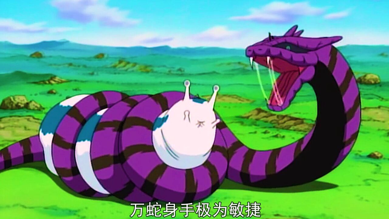 《这是火影中最强的五条通灵蛇!最后一条甚至无法被通灵!》