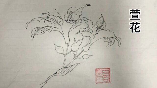 国画0基础练习,中国的母亲花,萱花线描