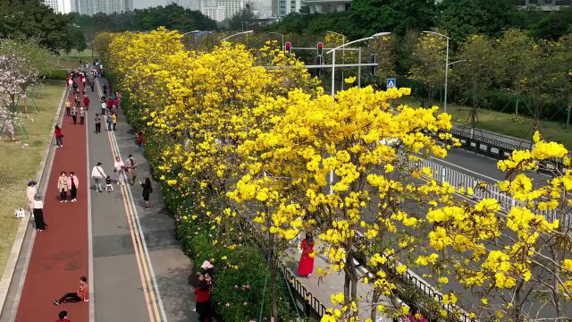 早读|本轮疫情结束了吗?最新权威研判;广东新版医保目录3月起执行