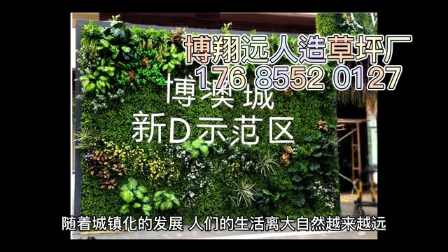 室内仿真垂直绿化墙多少钱一平米