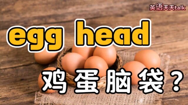 老外常说的 egg head,翻译成“鸡蛋脑袋” 就把对方搞笑了