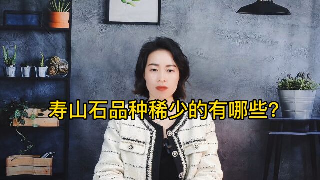 寿山石品种稀少的有哪些?008寿山石讲解