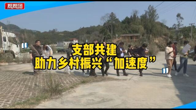 学习助农经验,摘沃柑,党员们来到田间地头,感受农村农业新变化