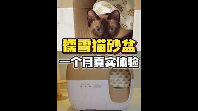 糯雪智能猫砂盆开箱测评!使用一个月的真实感受!#糯雪智能猫砂盆 #自动猫砂盆