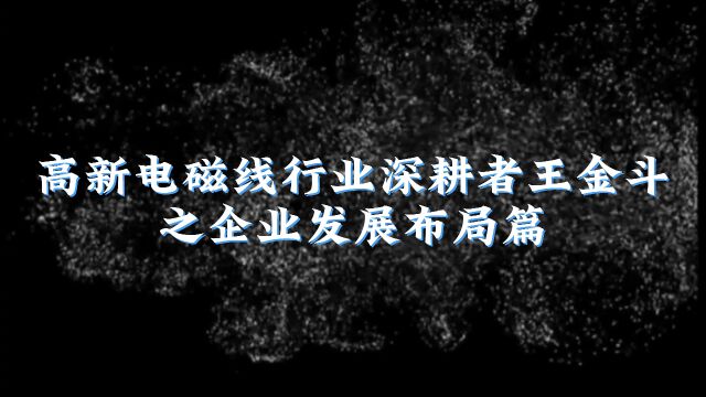 高新电磁线行业深耕者王金斗的企业发展之道