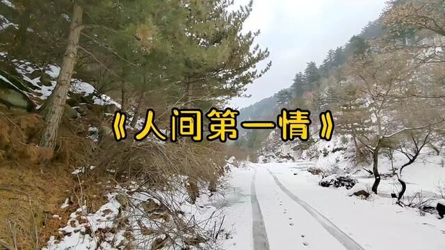 冬天的风景其实也非常美,旅游随拍 #家乡雪景 #大雪封山